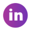 Linked-In Icon