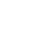 Regulatory Challenges
