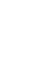 Central Bank Digital Currency