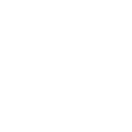 Algorithmic Stable Coin Development
