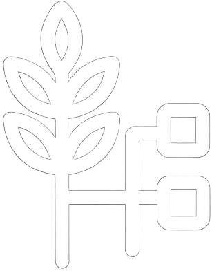 Murundi Group: Global Agri Trade with NFTtrace