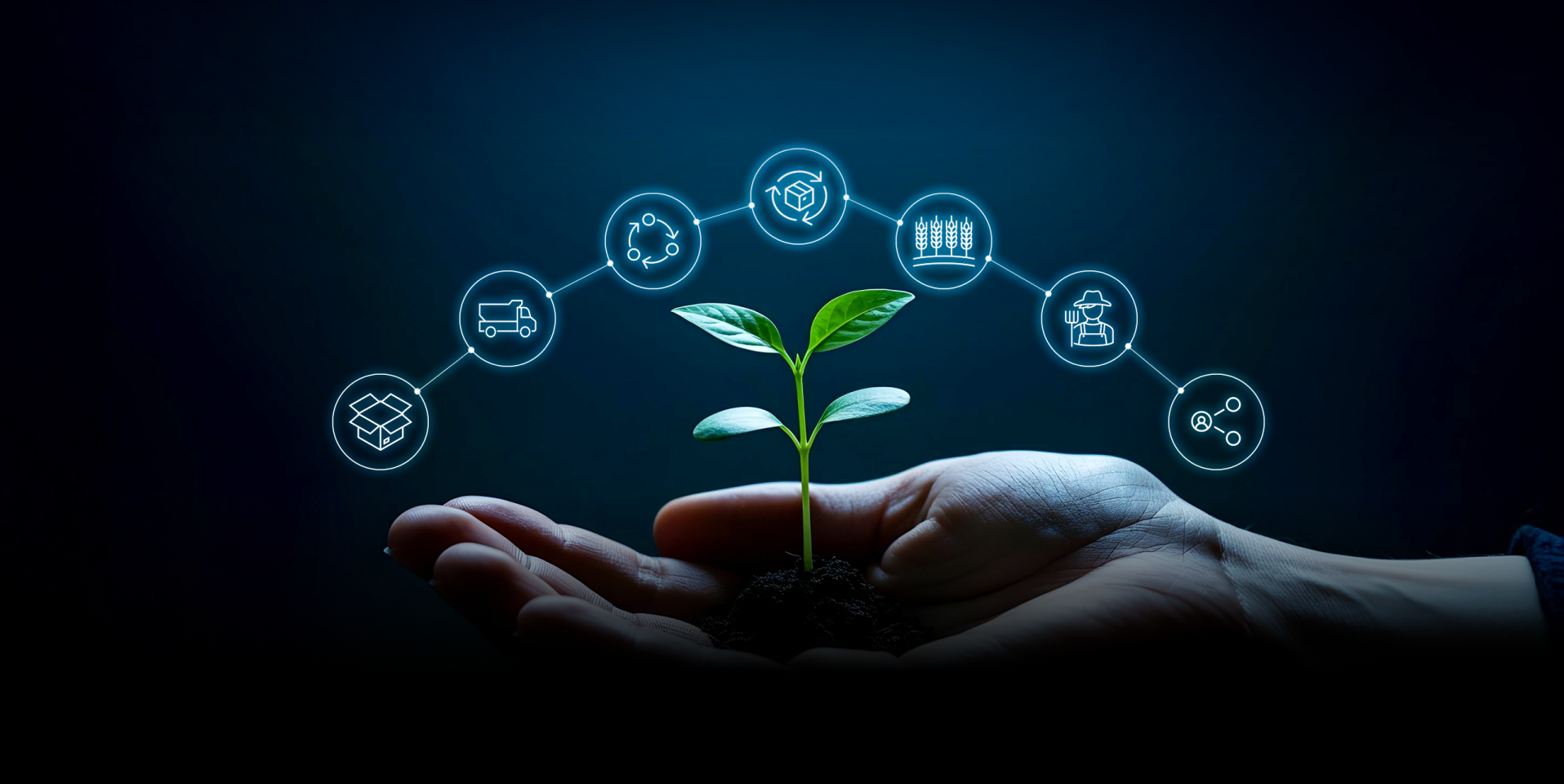 Murundi Group - NFTtrace case study