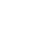 Immutable Digital Records